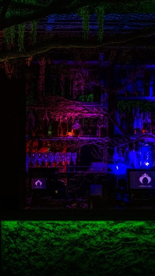 Cuckoo Club interior — in Mayfair, London